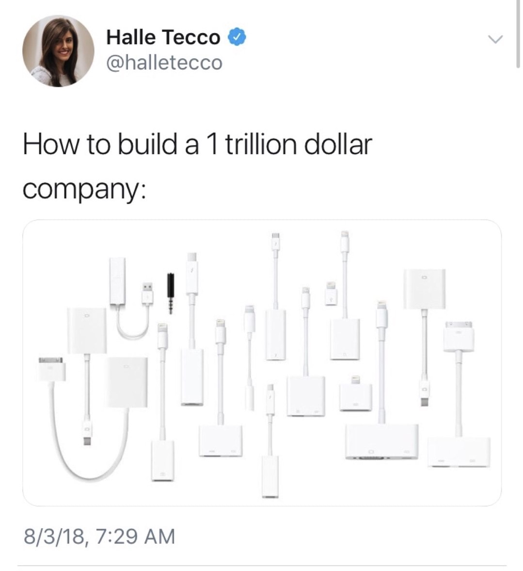 memes - diagram - Halle Tecco How to build a 1 trillion dollar company 8318,