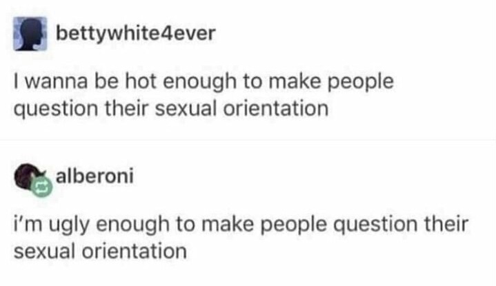 memes - diagram - bettywhite4ever I wanna be hot enough to make people question their sexual orientation alberoni i'm ugly enough to make people question their sexual orientation