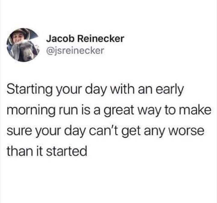 memes - if you glue a dead wasp - Jacob Reinecker Starting your day with an early morning run is a great way to make sure your day can't get any worse than it started