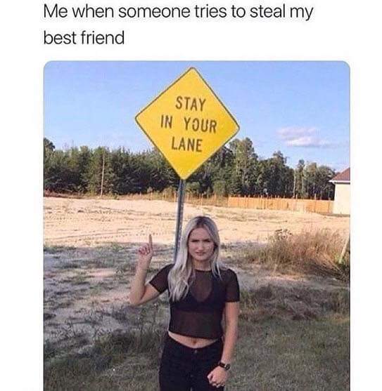 stay in your lane meme - Me when someone tries to steal my best friend Stay In Your Lane Che