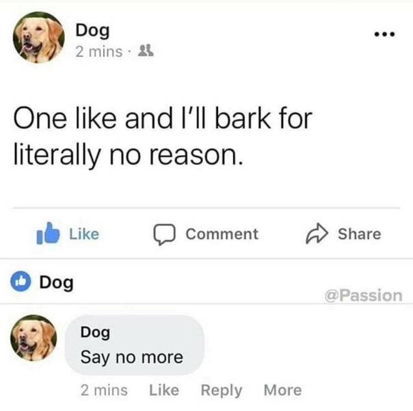 one like and ill - Dog 2 mins. 23 One and I'll bark for literally no reason. Comment Il Dog Dog Say no more 2 mins More