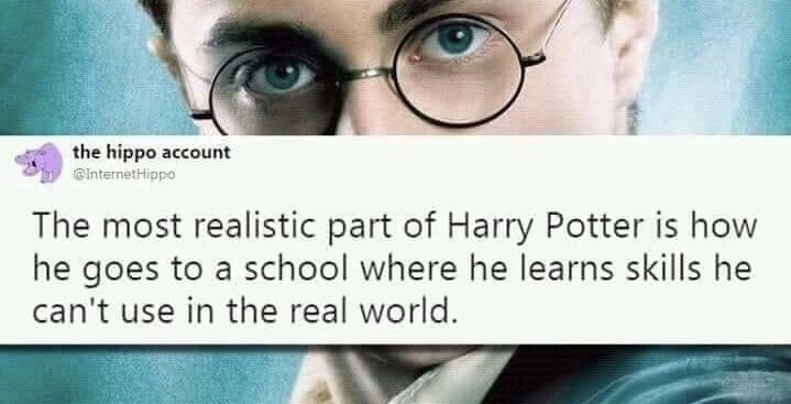 memes - reality is often disappointing meme - the hippo account The most realistic part of Harry Potter is how he goes to a school where he learns skills he can't use in the real world.