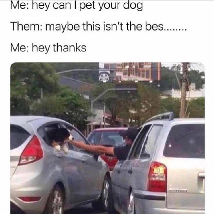 can i pet your dog meme - Me hey can I pet your dog Them maybe this isn't the bes... Me hey thanks