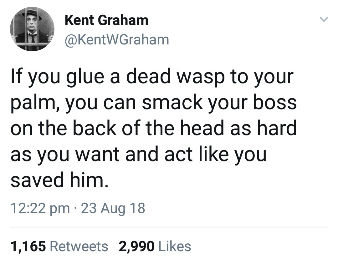 memes - angle - Kent Graham If you glue a dead wasp to your palm, you can smack your boss on the back of the head as hard as you want and act you saved him. 23 Aug 18 1,165 2,990