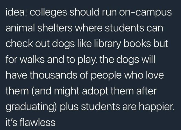 memes - run like an animal - idea colleges should run oncampus animal shelters where students can check out dogs library books but for walks and to play. the dogs will have thousands of people who love them and might adopt them after graduating plus stude