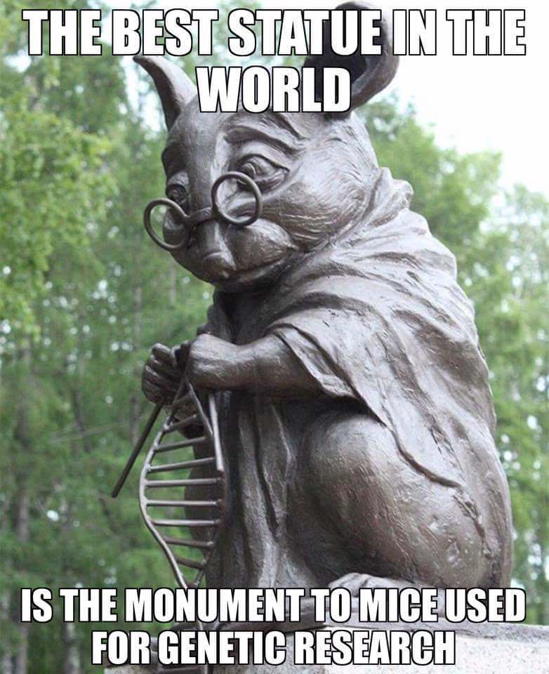 memes - lab rat statue - The Best Statue In The World Is The Monument To Mice Used For Genetic Research