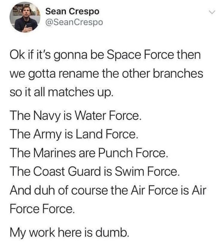 Space force meme