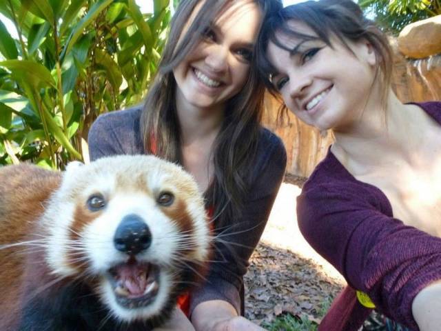 selfie with red panda