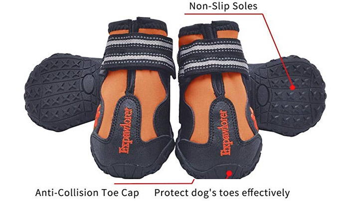 Asphalt and sidewalks get very hot during the summer, and bodies of water are often full of sharp debris and stones.  Protect your pupper's paws with these Waterproof, Anti-Slip Dog Booties With Toe Protection - $16.99 Get it <a href="https://amzn.to/2olNUnj" target="_blank" rel="nofollow"><font color="red"><b>HERE</font></b></a>.