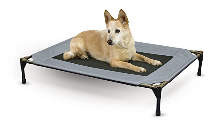 No one likes sleeping on the ground, so why should your faithful companion be forced to? Elevated Dog Bed - $27.99 Get it <a href="https://amzn.to/2oigy8X" target="_blank" rel="nofollow"><font color="red"><b>HERE</font></b></a>.