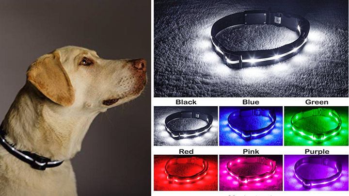 Keep your doggo safe while adding a nice touch of style with this illuminated dog collar. LED (Rechargeable) Dog Safety Collar - $10.99 Get it <a href="https://amzn.to/2ojE5pW" target="_blank" rel="nofollow"><font color="red"><b>HERE</font></b></a>.