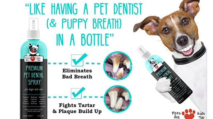 Keep your dog's breath nice and fresh while helping to fight off plaque and tarter with a bottle of  Doggie Dental Sprapy - $16.99 Get it <a href="https://amzn.to/2NrTm39" target="_blank" rel="nofollow"><font color="red"><b>HERE</font></b></a>.