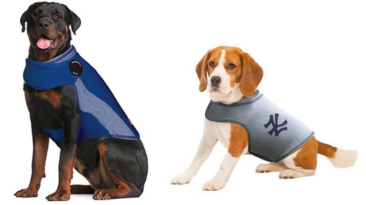 Maybe your dog gets nervous during thunderstorms or fireworks, maybe they just get anxious when you're not around.   Either way these garments are the perfect way to help your dog relax in wide variety of situations.  Thundershirts For Dogs - $29.99 Get it <a href="https://amzn.to/2Ntdh1u" target="_blank" rel="nofollow"><font color="red"><b>HERE</font></b></a>.