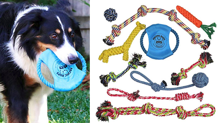 Get your favorite canine a brand new collection of toys while also supporting a good cause.   Each purchase of this item helps support the Pacific Pup Rescue!
 Nearly Indestructible Dog Chew Toy Variety Pack - $21.99 Get it <a href="https://amzn.to/2BVqyyL" target="_blank" rel="nofollow"><font color="red"><b>HERE</font></b></a>.