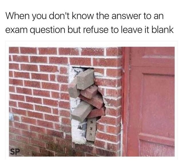 memes - you don t know the answer but refuse to leave it blank - When you don't know the answer to an exam question but refuse to leave it blank