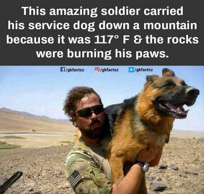 memes - soldier carried service dog - This amazing soldier carried his service dog down a mountain because it was 117 F & the rocks were burning his paws. fgkfactsz gkfactsz gkfactsz
