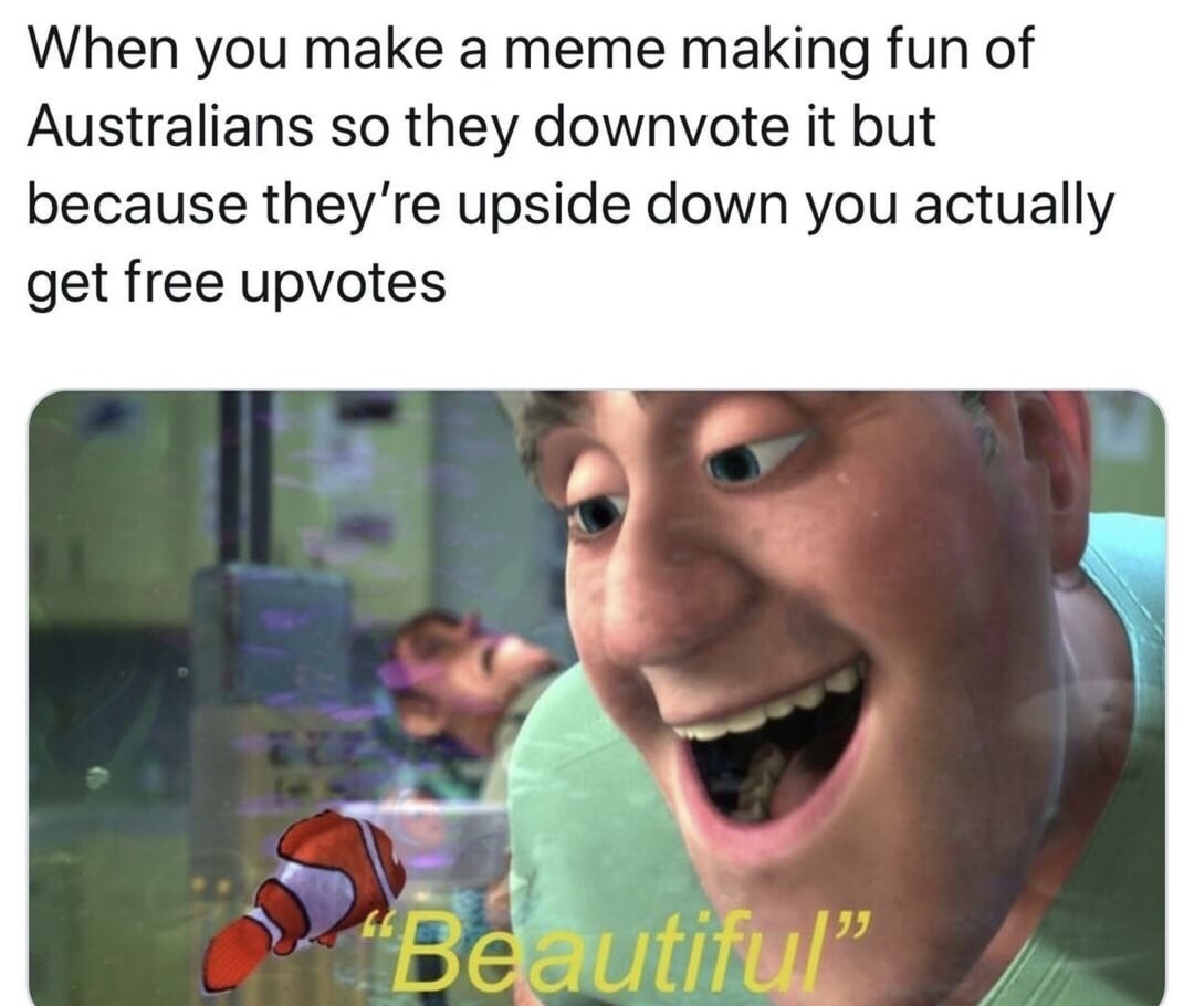 memes - funny dank memes - When you make a meme making fun of Australians so they downvote it but because they're upside down you actually get free upvotes "Beautiful