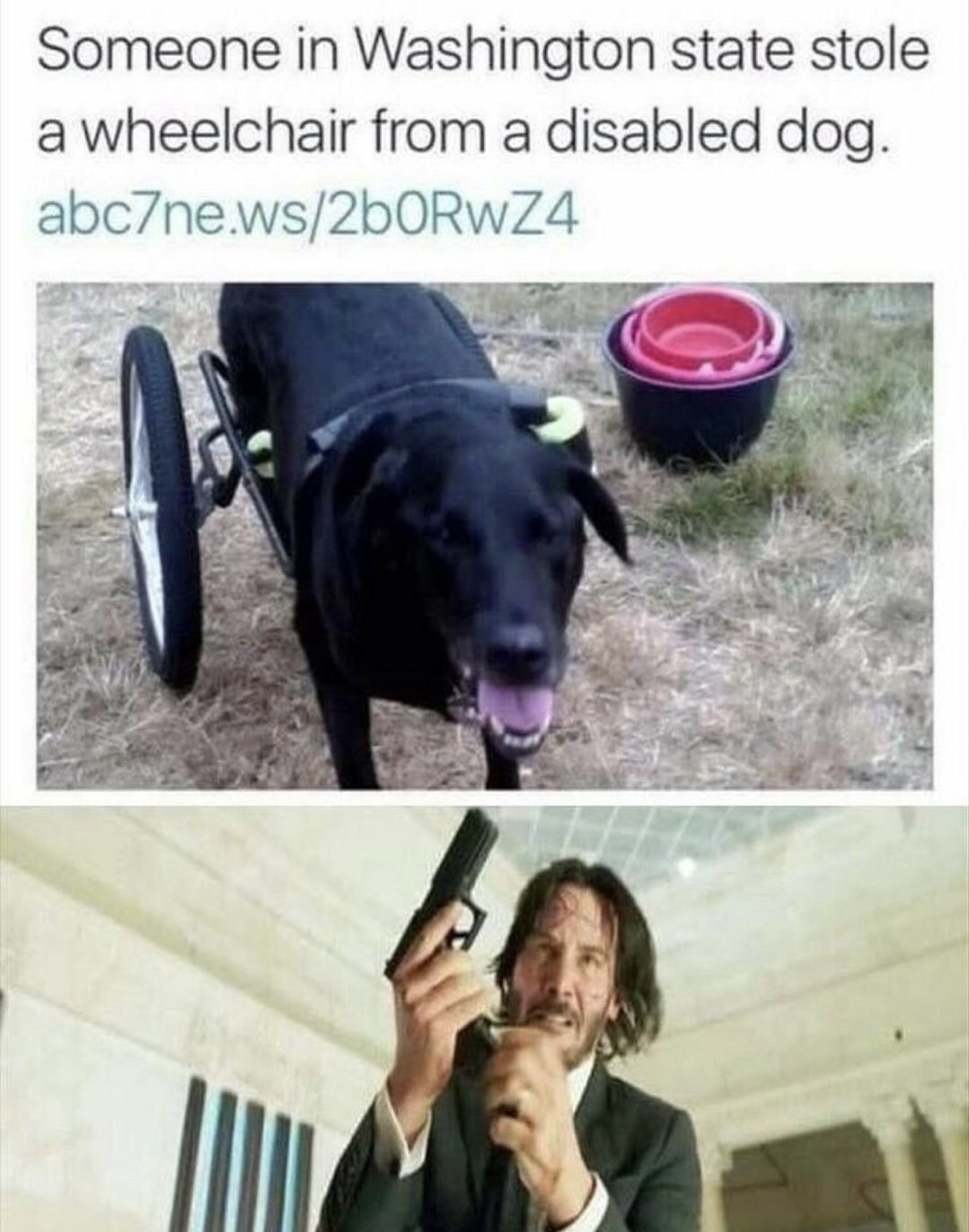 memes - john wick dog meme - Someone in Washington state stole a wheelchair from a disabled dog. abc7ne.ws2bORWZ4