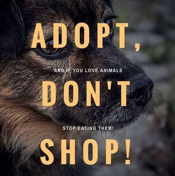 Adopt, and if you love animals don't stop eating them! Shop!