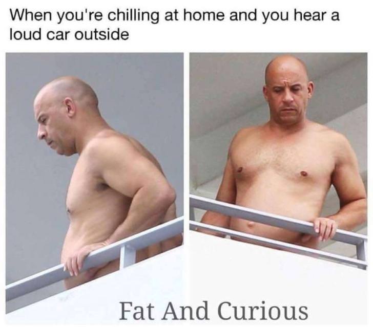fat and curious meme - When you're chilling at home and you hear a loud car outside Fat And Curious