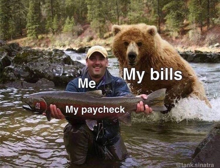 meme man bear fish meme - My bills Me My paycheck .sinatra