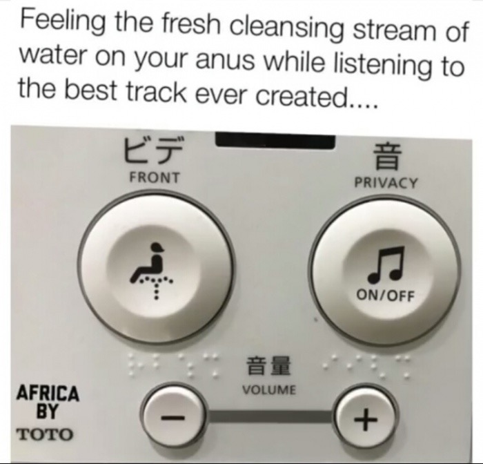 memes - japanese toilet uk - Feeling the fresh cleansing stream of water on your anus while listening to the best track ever created.... Front Privacy OnOff Volume Africa By Toto