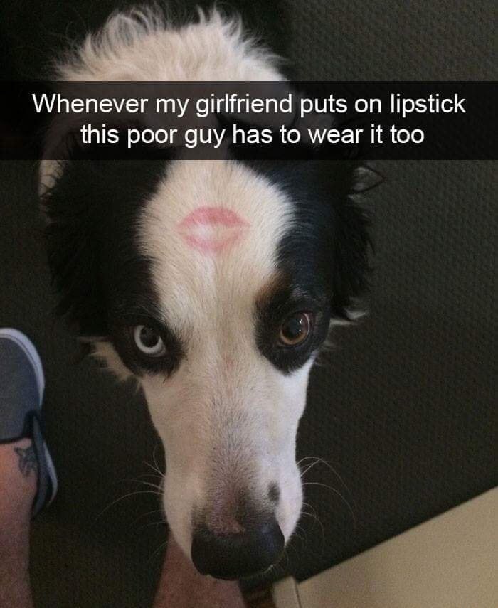 memes - too poor for a girlfriend - Whenever my girlfriend puts on lipstick this poor guy has to wear it too