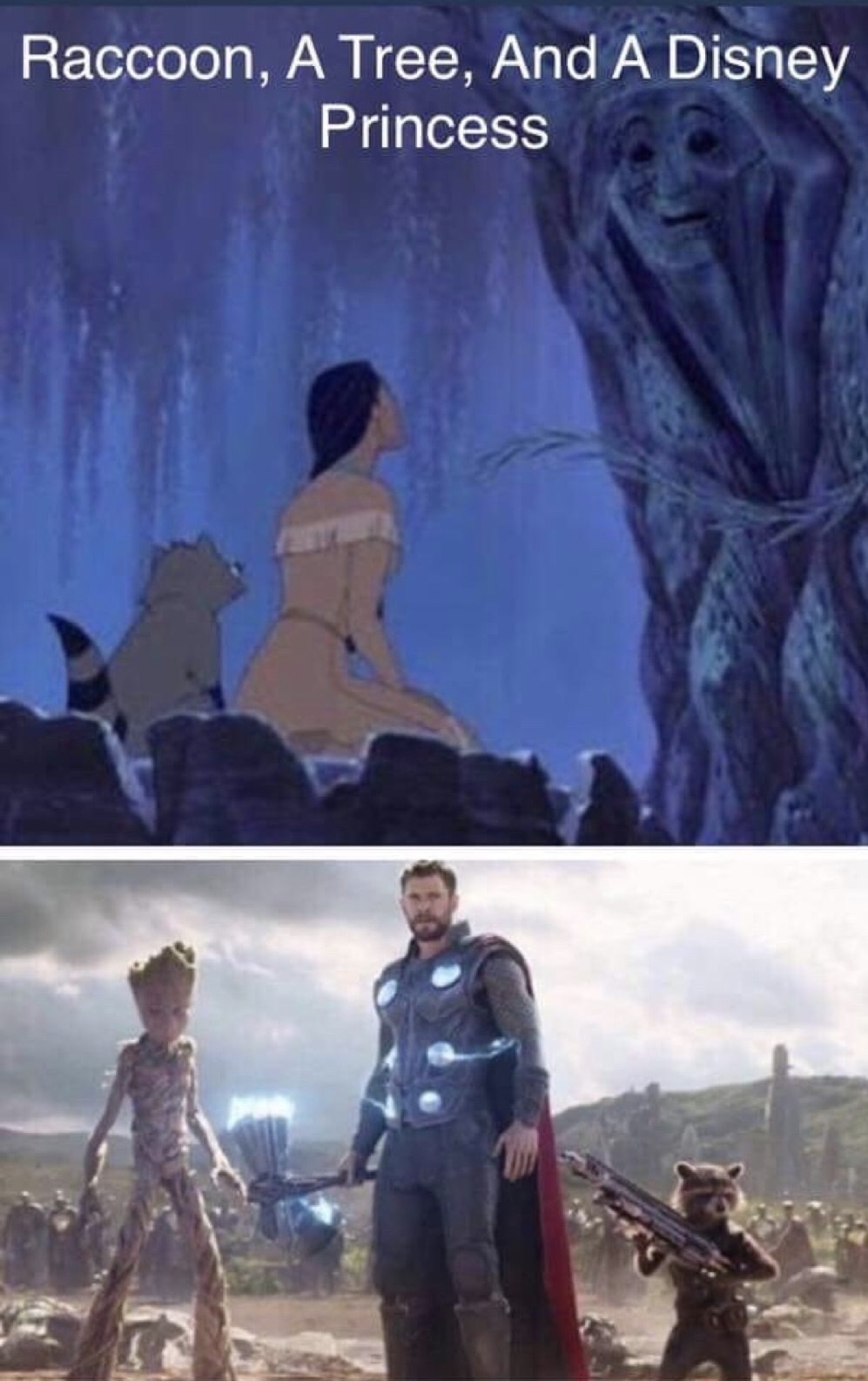 memes - avengers meme princess - Raccoon, A Tree, And A Disney Princess