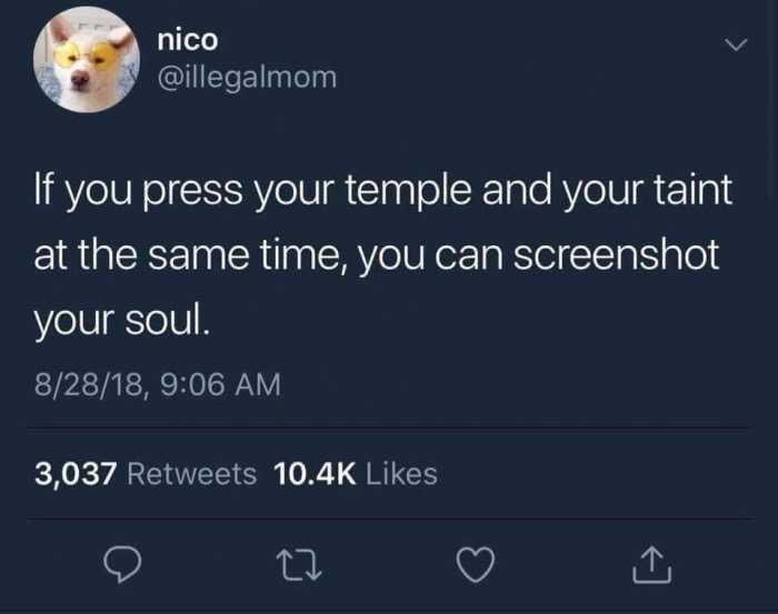 memes - relationship tweet facts - nico If you press your temple and your taint at the same time, you can screenshot your soul. 82818, 3,037