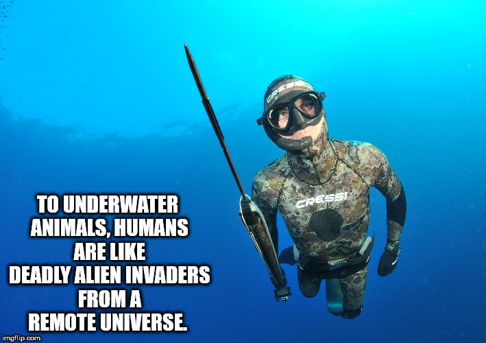 underwater spearfishing - To Underwater Animals, Humans Are Deadly Alien Invaders From A Remote Universe imgflip.com