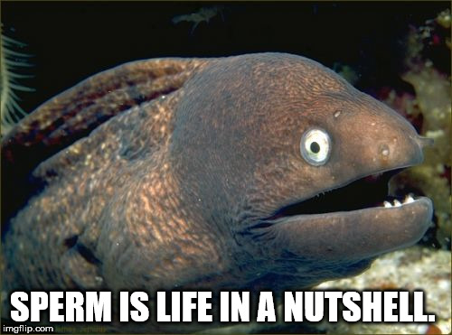 bad joke eel - Sperm Is Life In A Nutshell imgflip.com