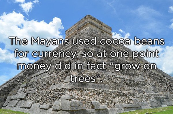 Maya civilization - The Mayans used cocoa beans for currency, so at one point money did in fact "grow on trees"