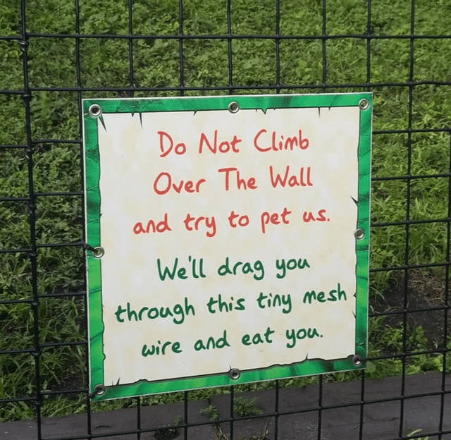 grass - Do Not Climb Over The Wall and try to pet us. We'll drag you through this tiny mesh wire and eat you.