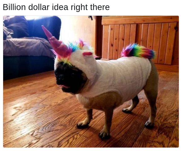 pug dog with unicorn outfit