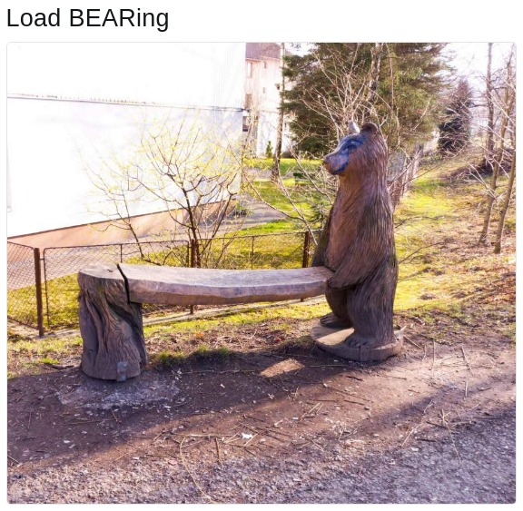 load bearing bear