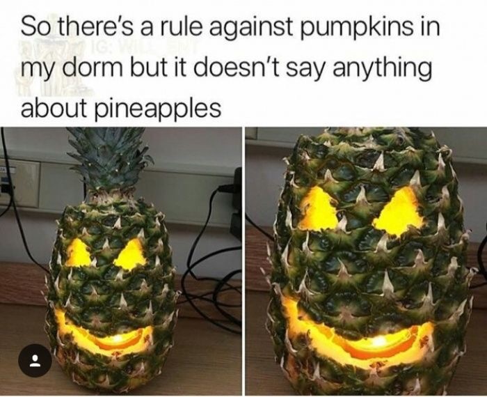 malicious compliance - So there's a rule against pumpkins in my dorm but it doesn't say anything about pineapples