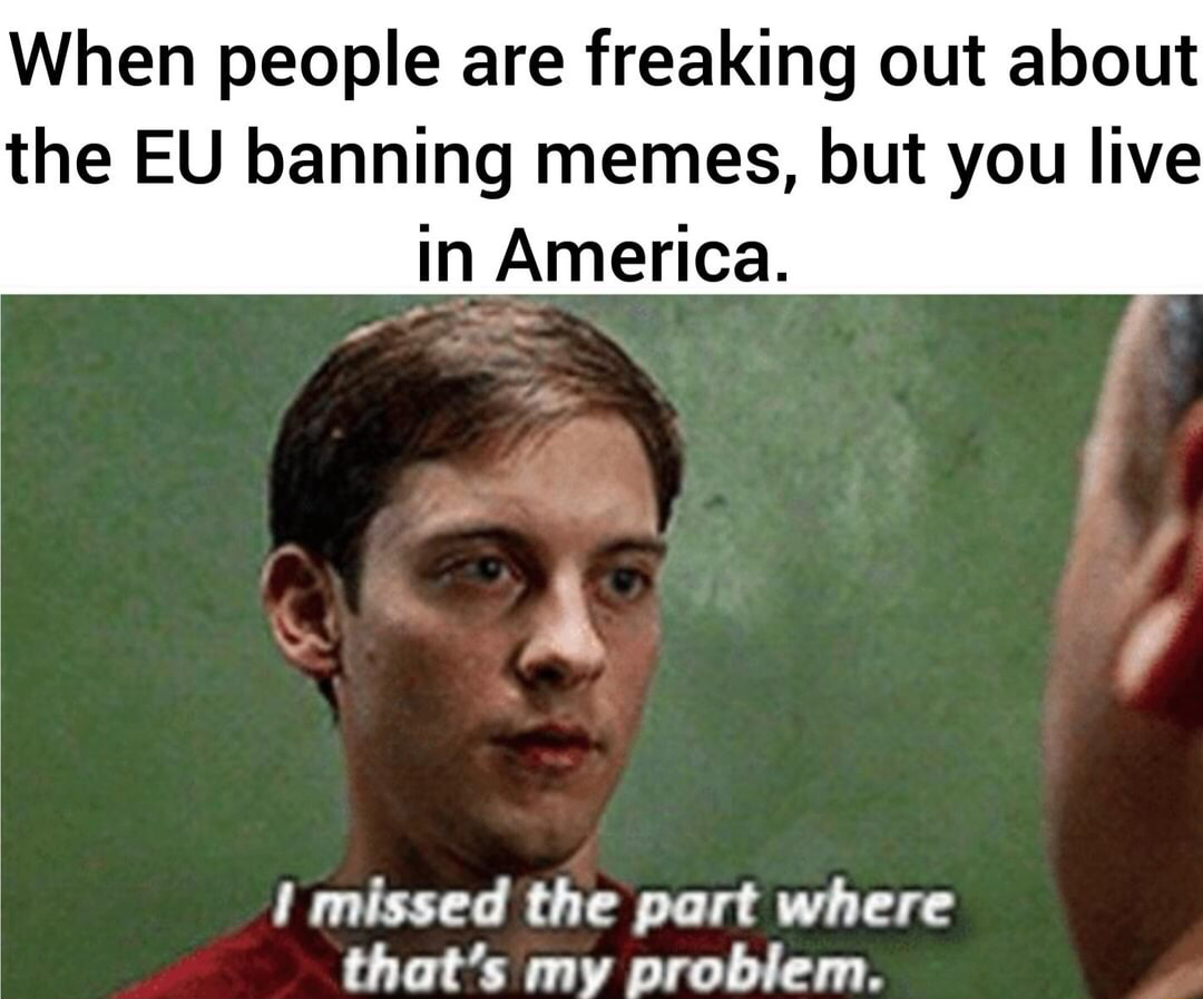 endgame no spoilers meme - When people are freaking out about the Eu banning memes, but you live in America. I missed the part where that's my problem.