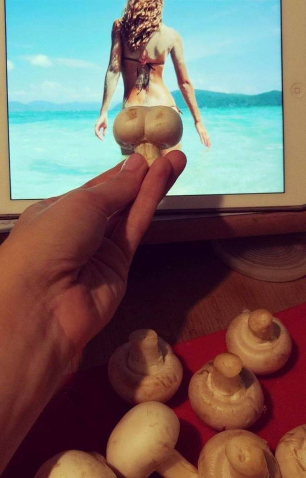 34 Super Random Pics From The Depths of The Interwebs