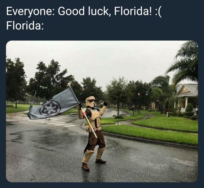 memes - tree - Everyone Good luck, Florida! Florida