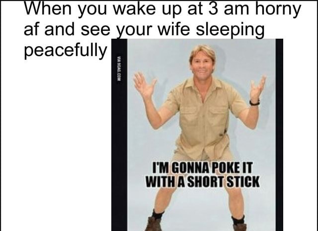 memes - shoulder - When you wake up at 3 am horny af and see your wife sleeping peacefully I'M Gonna Poke It With A Short Stick