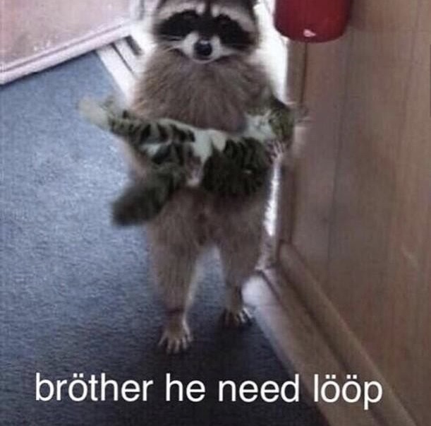 memes - brother he need loop - brther he need lp