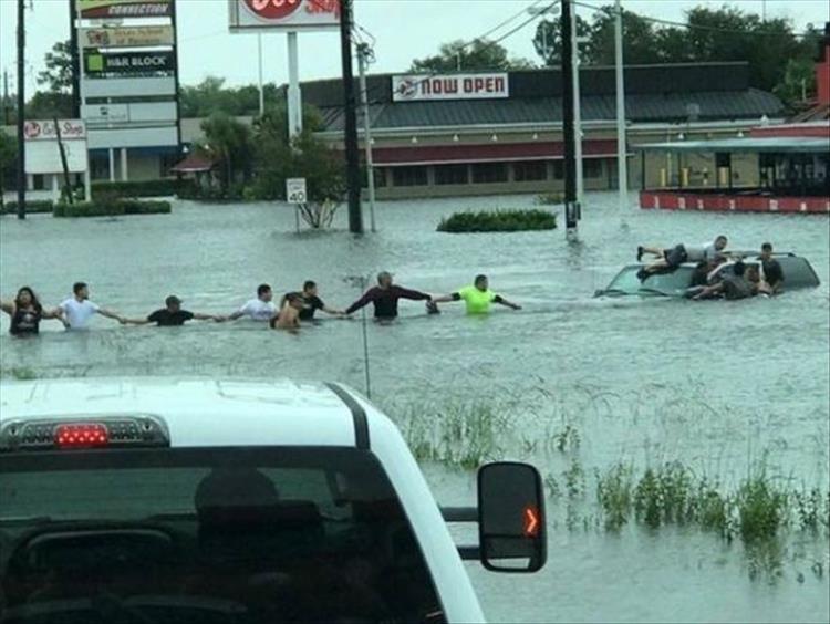 heartwarming hurricane harvey human chain - Now Open