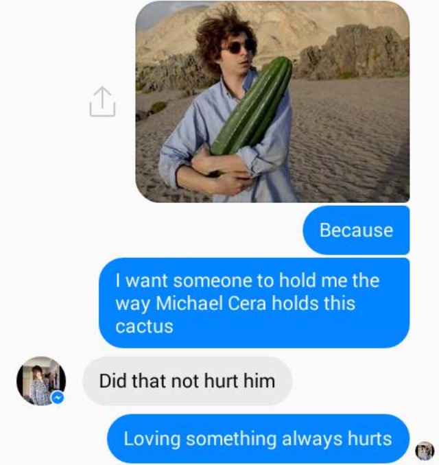 memes - michael cera cactus - Because I want someone to hold me the way Michael Cera holds this cactus Did that not hurt him Loving something always hurts