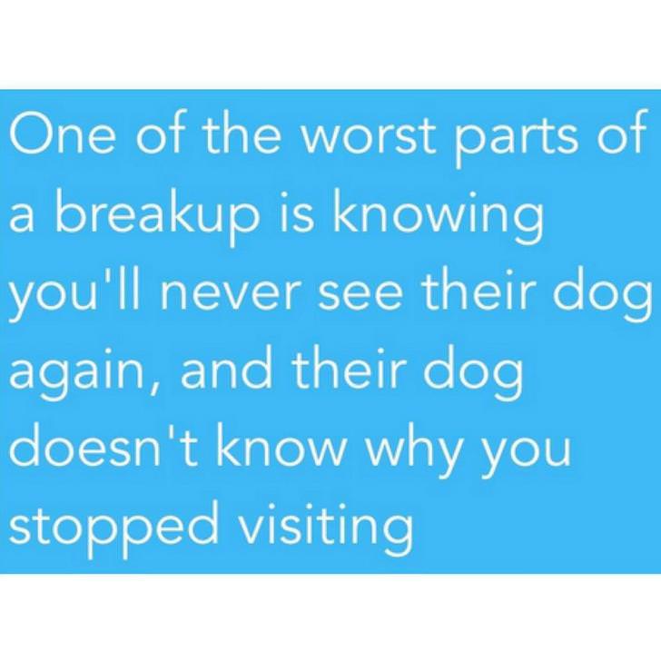 sky - One of the worst parts of a breakup is knowing you'll never see their dog again, and their dog doesn't know why you stopped visiting