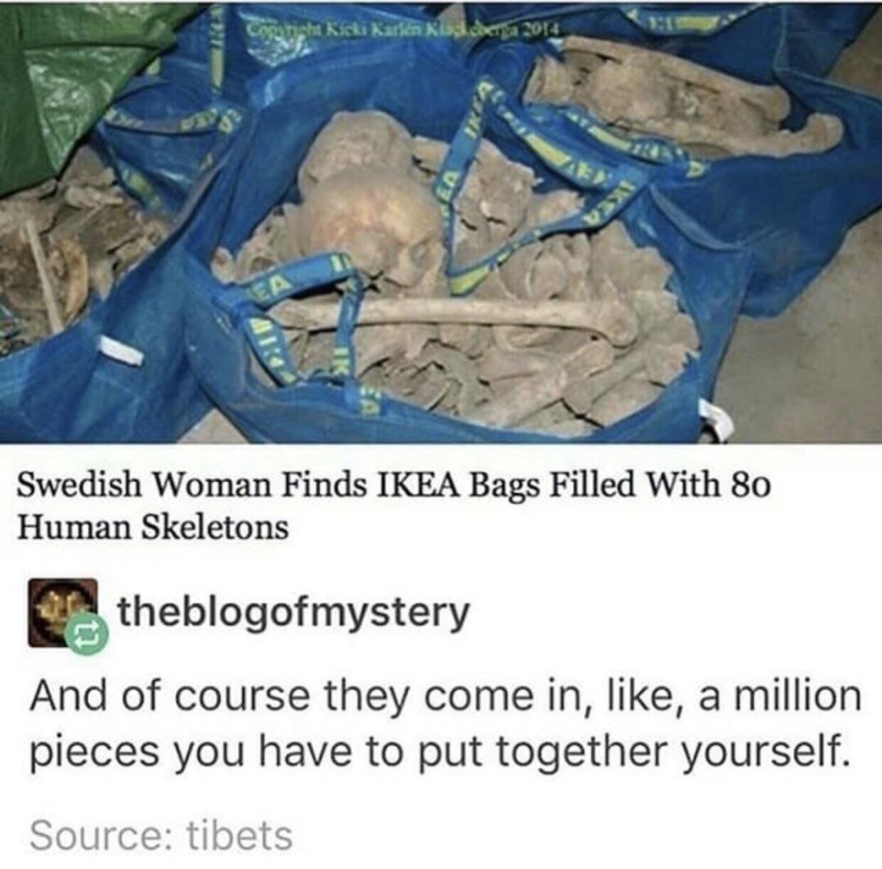 ikea bones meme - Katinka.com 2014 Swedish Woman Finds Ikea Bags Filled With 80 Human Skeletons theblogofmystery And of course they come in, , a million pieces you have to put together yourself. Source tibets
