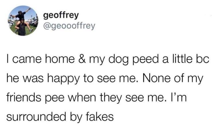 white people like to say meme - geoffrey geoffre I came home & my dog peed a little bc he was happy to see me. None of my friends pee when they see me. I'm surrounded by fakes
