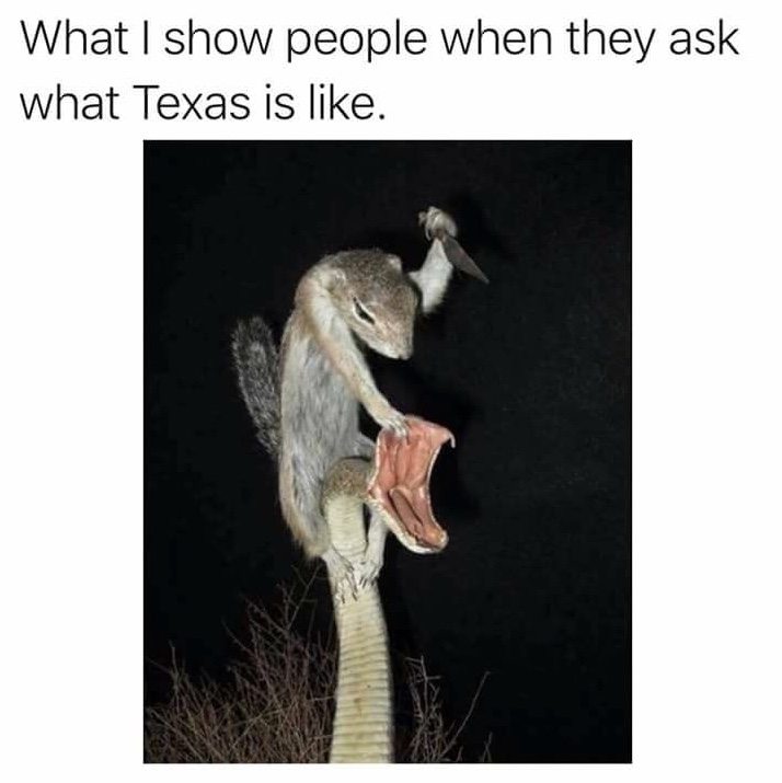 meme stream - texas meme - What I show people when they ask what Texas is .
