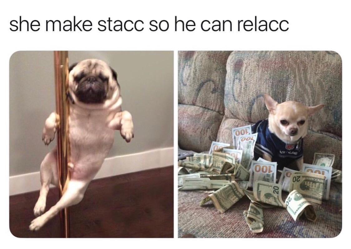 money dog - she make stacc so he can relacc 00! Oli 002 20