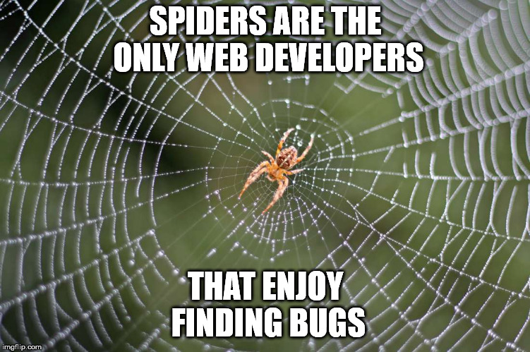 spider web developer - Spiders Are The Only Web Developers That Enjoy Finding Bugs imgflip.com