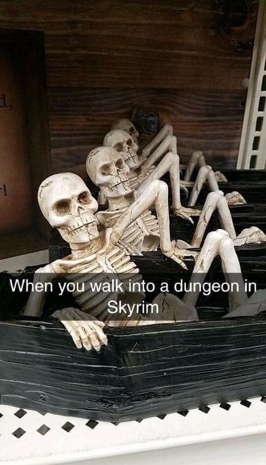 skyrim skeleton meme - When you walk into a dungeon in Skyrim